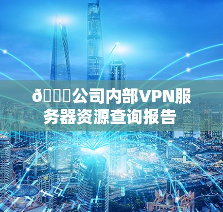 🔒公司内部VPN服务器资源查询报告 