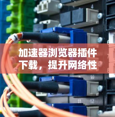 加速器浏览器插件下载，提升网络性能的无缝解决方案