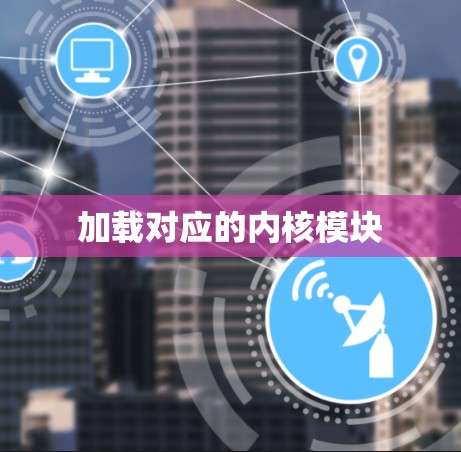 加载对应的内核模块