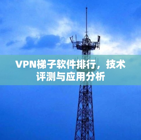 VPN梯子软件排行,技术评测与应用分析 VPN梯子软件排行,技术评测与应用分析