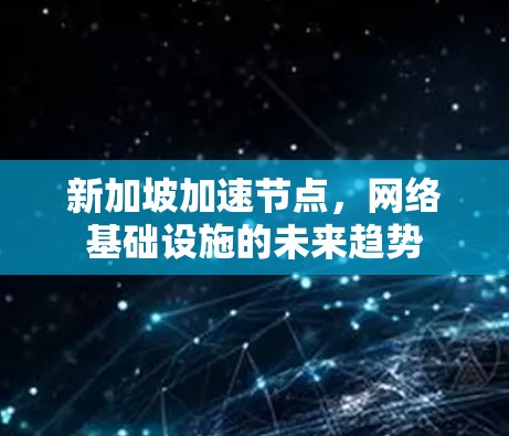 新加坡加速节点，网络基础设施的未来趋势