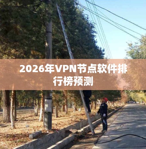 2026年VPN节点软件排行榜预测