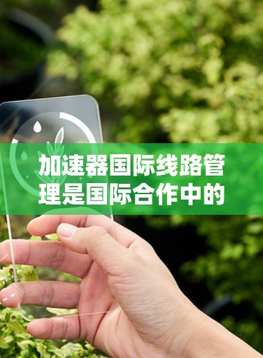 加速器国际线路管理是国际合作中的重要组成部分，确保全球加速器资源的有效利用和高效运作。以下是对这一管理领域的详细总结