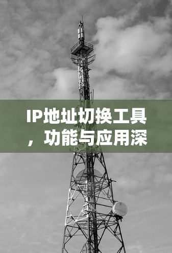 IP地址切换工具,功能与应用深度解析 IP地址切换工具,功能与应用深度解析