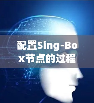 配置Sing-Box节点的过程可以分为几个关键步骤，确保你能够顺利完成并充分利用其功能。以下是详细的步骤指南