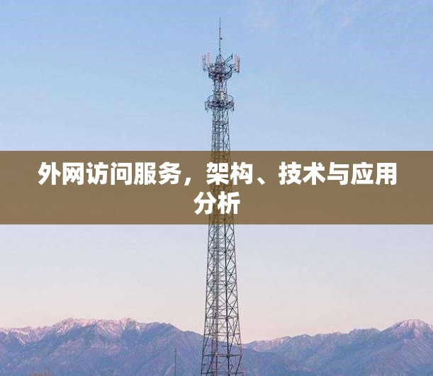 外网访问服务,架构、技术与应用分析 外网访问服务,架构、技术与应用分析