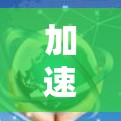 加速器国际网络连接，提升通信效率与性能