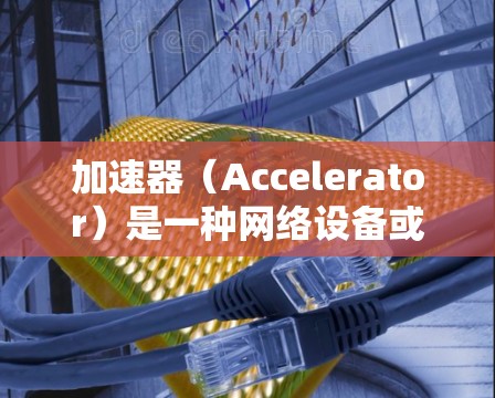 加速器（Accelerator）是一种网络设备或软件，用于提高数据传输的速度和效率。全球出口节点通常指的是分布在全球各地的加速器节点，这些节点可以帮助用户更快地访问远距离的数据或服务