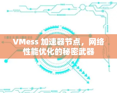 VMess 加速器节点，网络性能优化的秘密武器