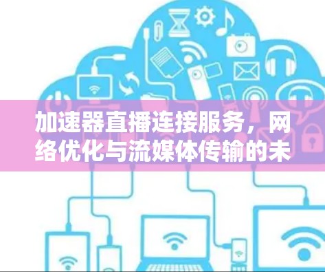 加速器直播连接服务,网络优化与流媒体传输的未来 加速器直播连接服务,网络优化与流媒体传输的未来