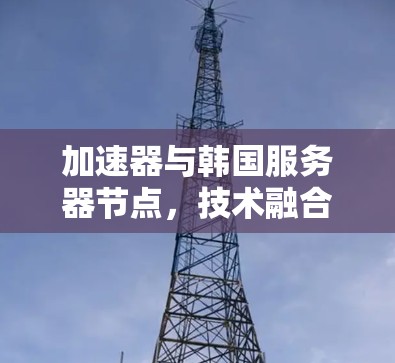 加速器与韩国服务器节点，技术融合赋能通信性能