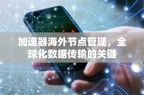 加速器海外节点管理，全球化数据传输的关键