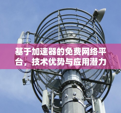 基于加速器的免费网络平台，技术优势与应用潜力