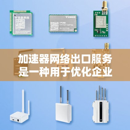 加速器网络出口服务是一种用于优化企业网络连接的技术，通过缓存、负载均衡和数据加速等手段，显著提升外部网络访问的速度和稳定性。以下是对这一技术的详细分析和总结