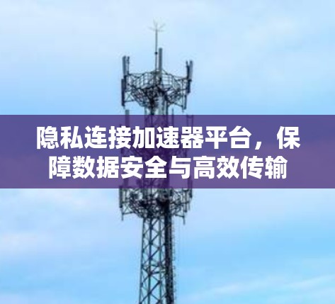 隐私连接加速器平台,保障数据安全与高效传输 隐私连接加速器平台,保障数据安全与高效传输