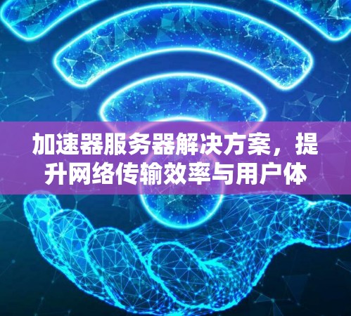 加速器服务器解决方案，提升网络传输效率与用户体验