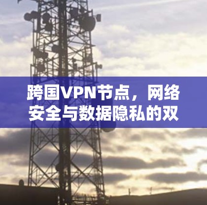 跨国VPN节点,网络安全与数据隐私的双重保障 跨国VPN节点,网络安全与数据隐私的双重保障