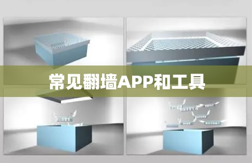 常见翻墙APP和工具 常见翻墙APP和工具