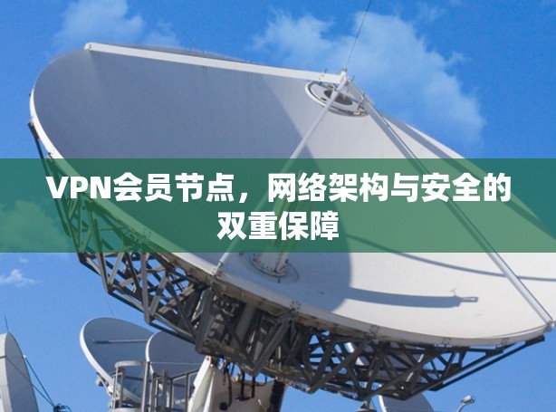 VPN会员节点，网络架构与安全的双重保障