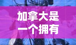 加拿大是一个拥有众多城市和省份的国家，每个城市通常都有自己的机场。以下是一些主要的加拿大机场