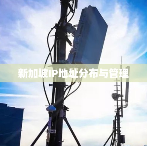新加坡IP地址分布与管理 新加坡IP地址分布与管理