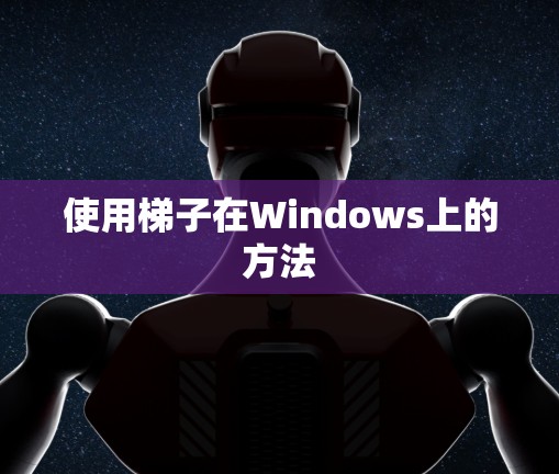 使用梯子在Windows上的方法 使用梯子在Windows上的方法