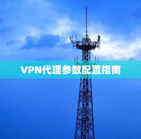 VPN代理参数配置指南