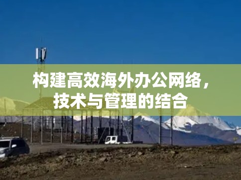 构建高效海外办公网络,技术与管理的结合 构建高效海外办公网络,技术与管理的结合