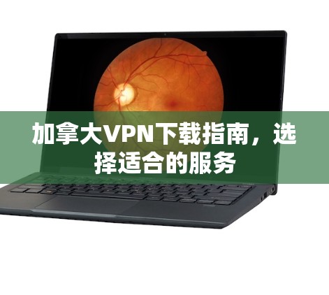 加拿大VPN下载指南,选择适合的服务 加拿大VPN下载指南,选择适合的服务