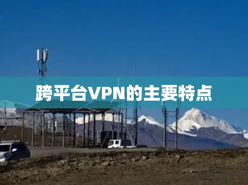 跨平台VPN的主要特点 跨平台VPN的主要特点