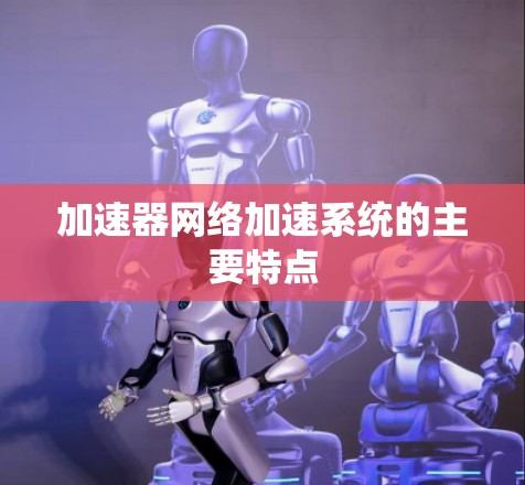 加速器网络加速系统的主要特点