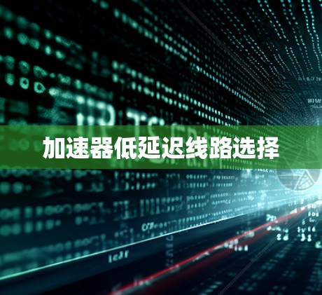 加速器低延迟线路选择
