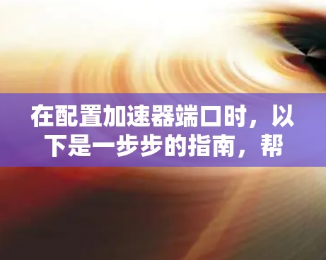 在配置加速器端口时，以下是一步步的指南，帮助你理解和完成配置过程