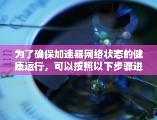 为了确保加速器网络状态的健康运行，可以按照以下步骤进行检测和维护