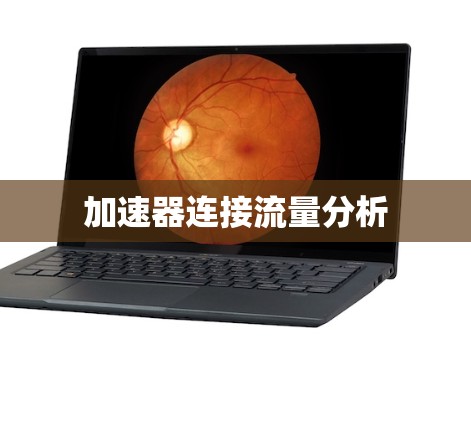 加速器连接流量分析 加速器连接流量分析