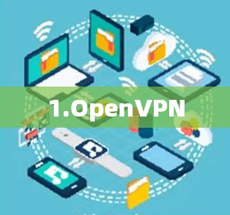 1.OpenVPN