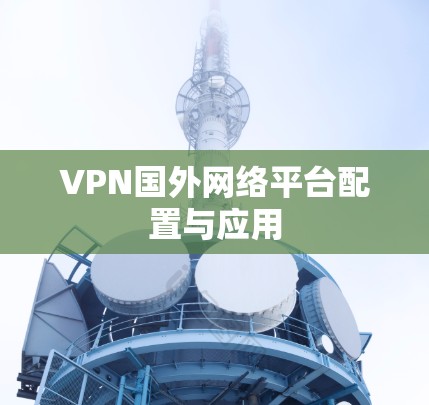 VPN国外网络平台配置与应用 VPN国外网络平台配置与应用