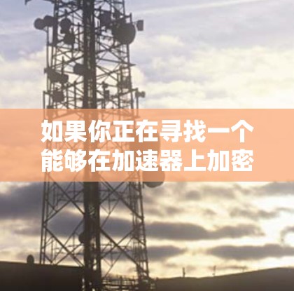 如果你正在寻找一个能够在加速器上加密数据的软件，以下是一些可能的工具和方法，供你参考