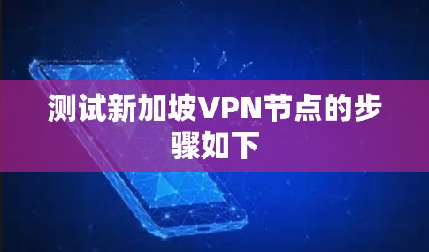 测试新加坡VPN节点的步骤如下