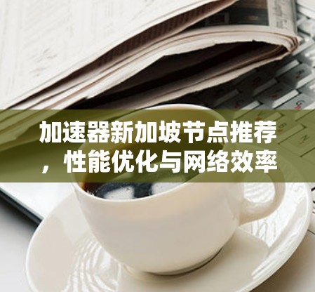 加速器新加坡节点推荐,性能优化与网络效率提升 加速器新加坡节点推荐,性能优化与网络效率提升
