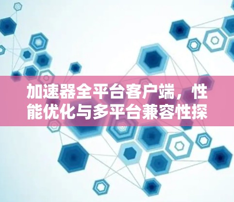 加速器全平台客户端，性能优化与多平台兼容性探讨