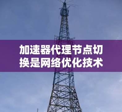 加速器代理节点切换是网络优化技术中的一部分，旨在动态调整代理节点以确保数据传输效率和性能。以下是对该过程的详细分析和总结