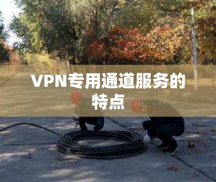 VPN专用通道服务的特点 VPN专用通道服务的特点