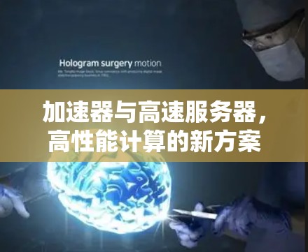 加速器与高速服务器，高性能计算的新方案