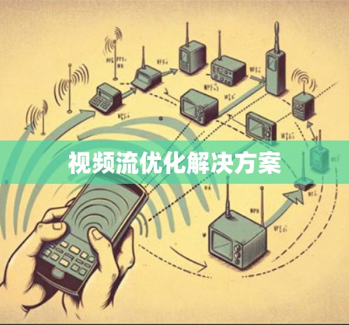 视频流优化解决方案 视频流优化解决方案