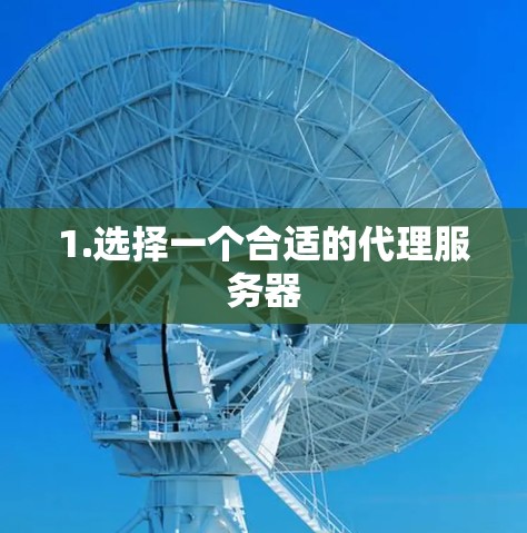 1.选择一个合适的代理服务器 1.选择一个合适的代理服务器