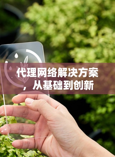 代理网络解决方案,从基础到创新 代理网络解决方案,从基础到创新
