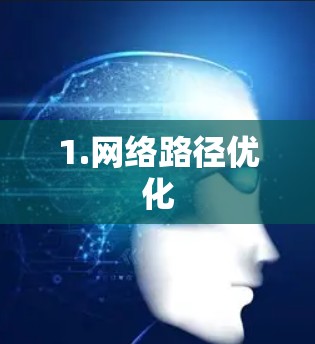 1.网络路径优化