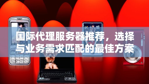 国际代理服务器推荐,选择与业务需求匹配的最佳方案 国际代理服务器推荐,选择与业务需求匹配的最佳方案