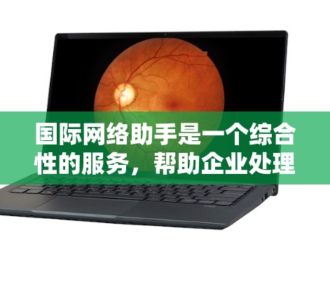 国际网络助手是一个综合性的服务，帮助企业处理跨境事务。以下是对国际网络助手的详细分析和选择建议
